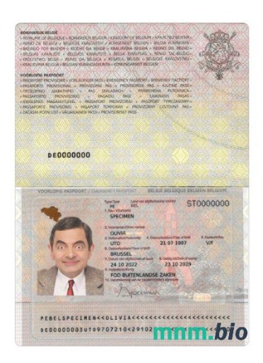 Przykład paszportu awaryjnego w Belgii w formacie PSD, w pełni edytowalny